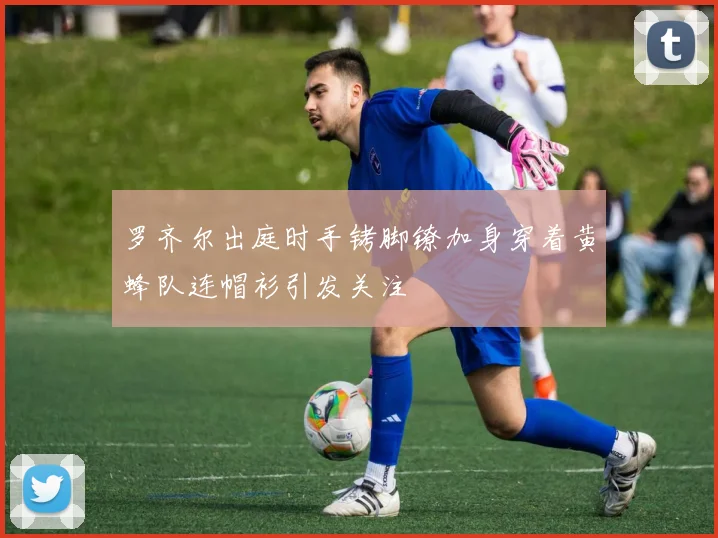 罗齐尔出庭时手铐脚镣加身穿着黄蜂队连帽衫引发关注